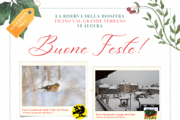 Serene festività natalizie 2024/25 dalla Riserva della Biosfera Ticino Val Grande Verbano